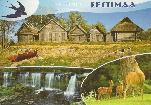 EstoniaWildlife